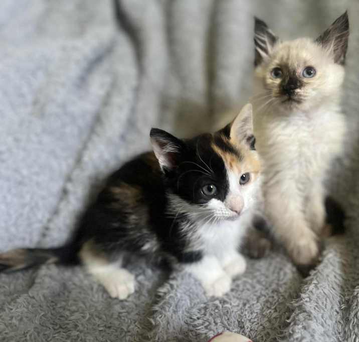 Photo of Ash & Ember
