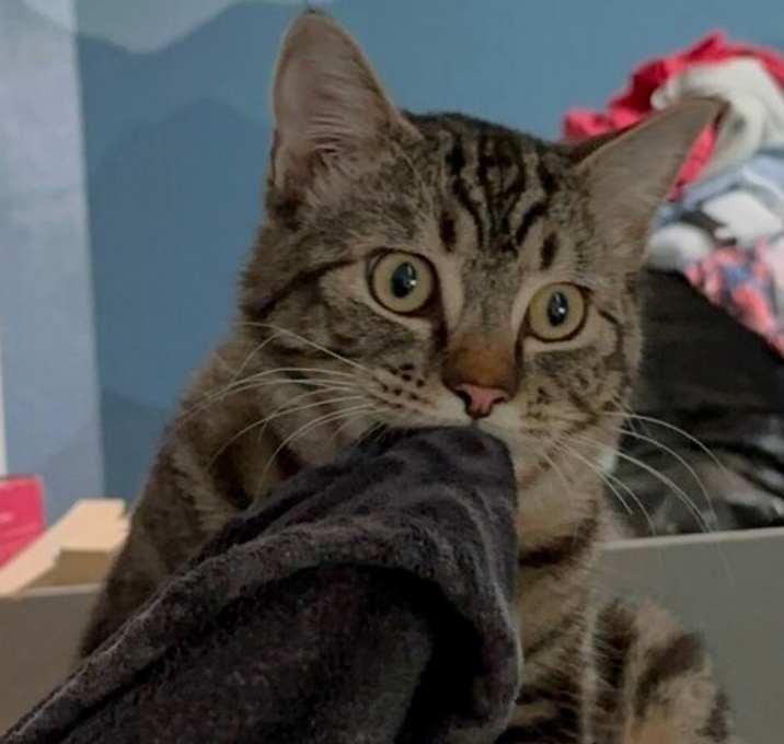 Photo of Barnaby