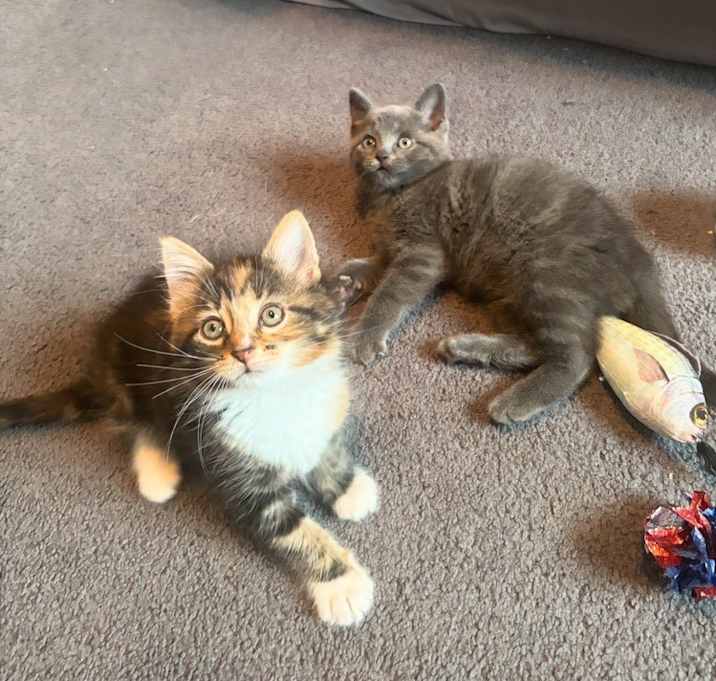 Photo of Vivienne and Vera