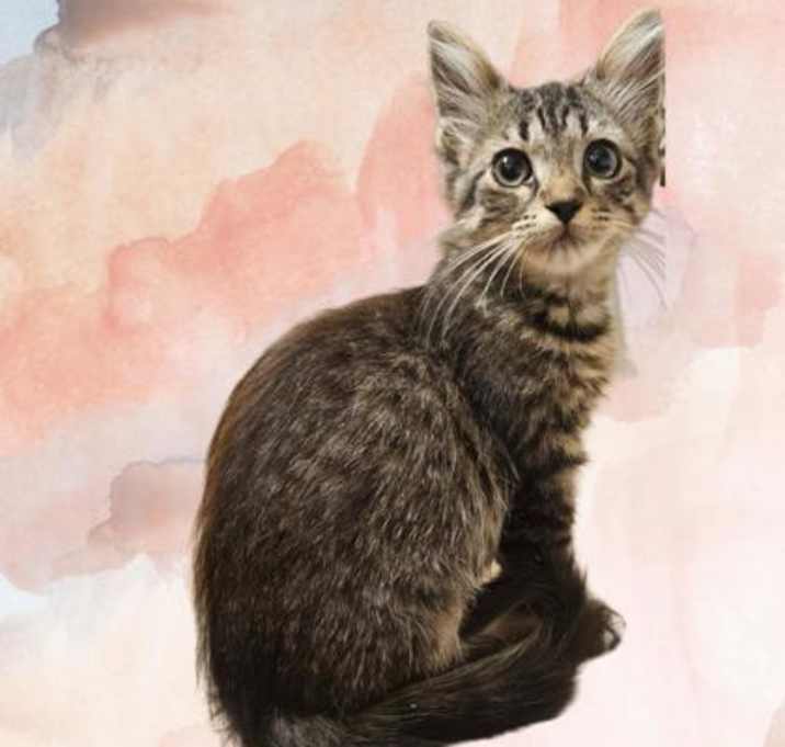Photo of Libby
