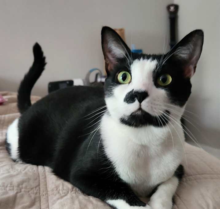 Photo of Oliver