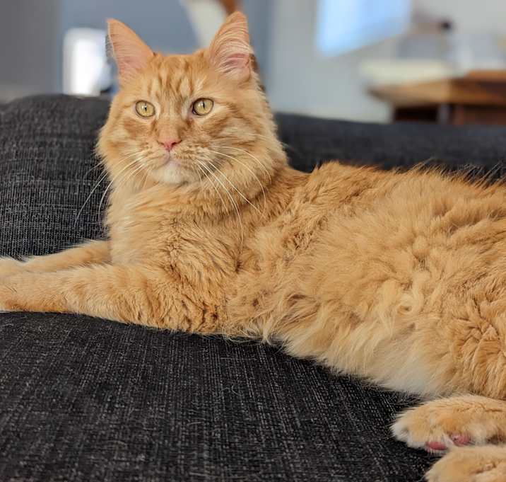 Photo of Parker