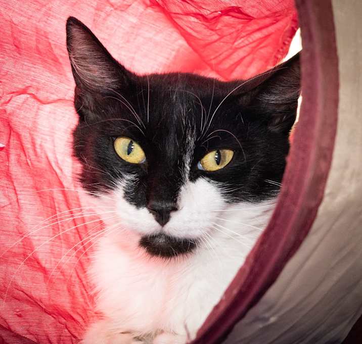 Photo of Eliza 