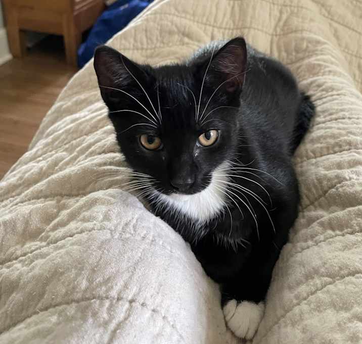 Photo of Pedro