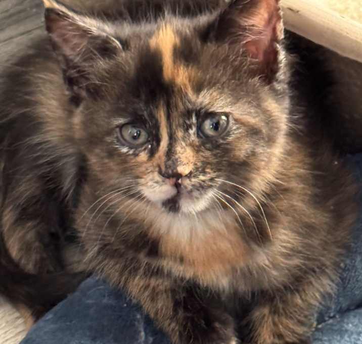 Photo of Un-named Beauty