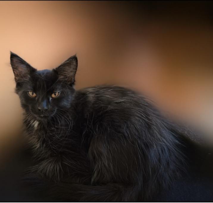 Photo of Un-named Beauty