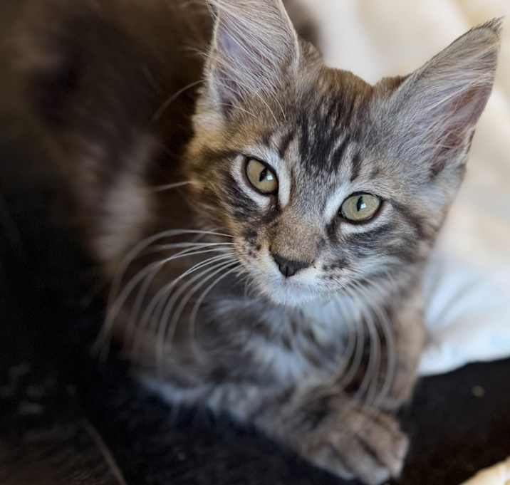 Photo of Un-named Beauty