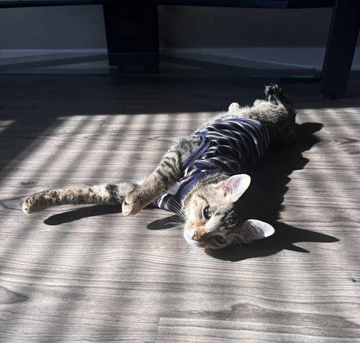 Photo of Mateo
