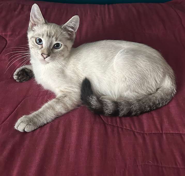 Photo of Frosty