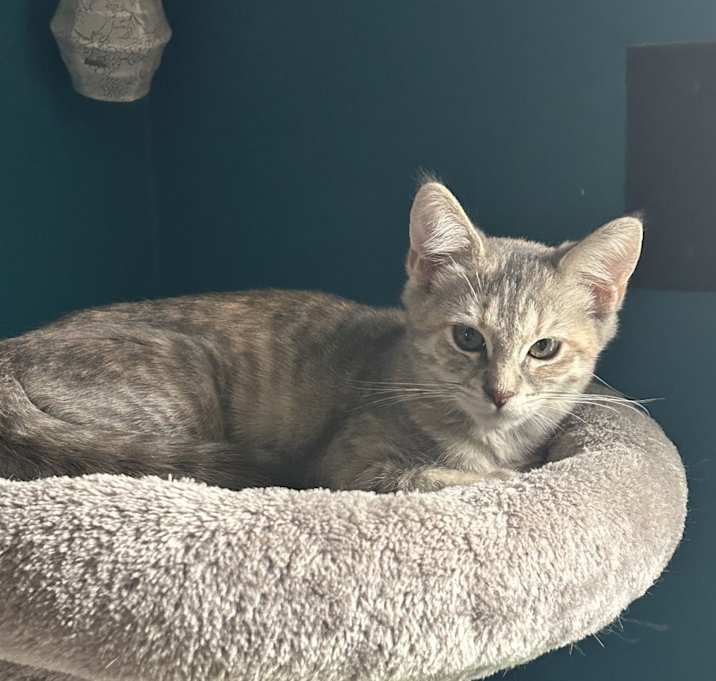 Photo of Pinky