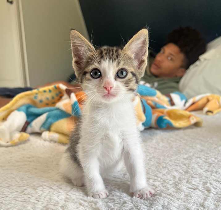 Photo of Ophelia