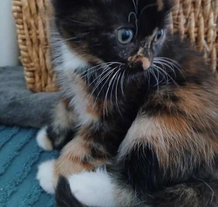 Photo of Cloud