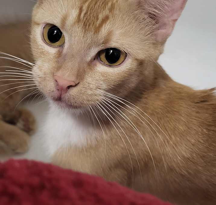 Photo of Mama