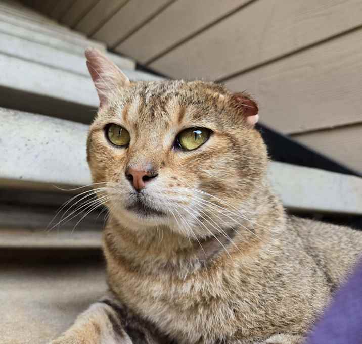 Photo of Big Boy