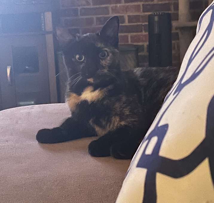 Photo of Minou