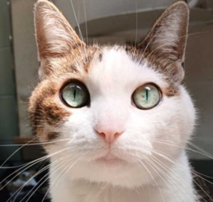 Photo of Amy