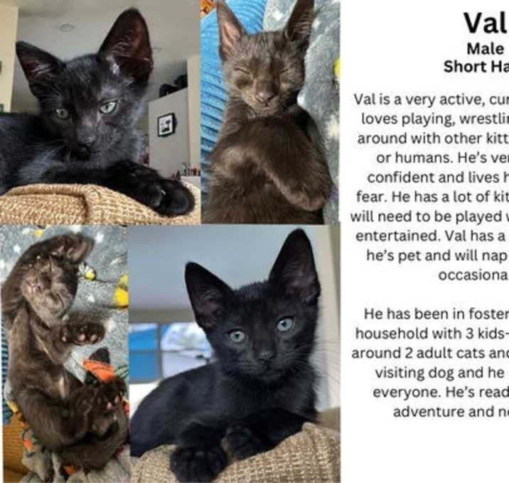 Photo of Val