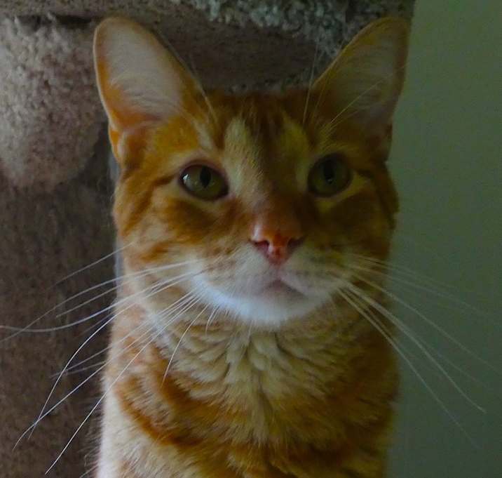 Photo of Todd
