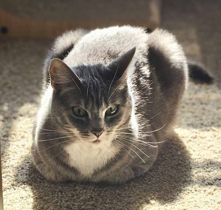 Photo of Aqua