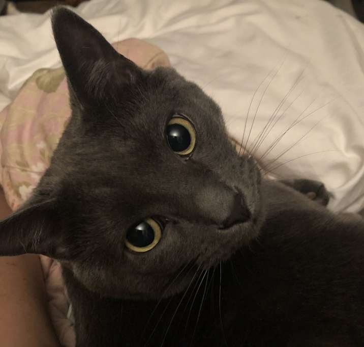 Photo of Logan