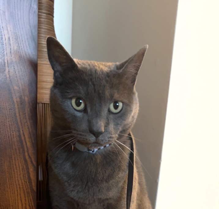 Photo of Murphy