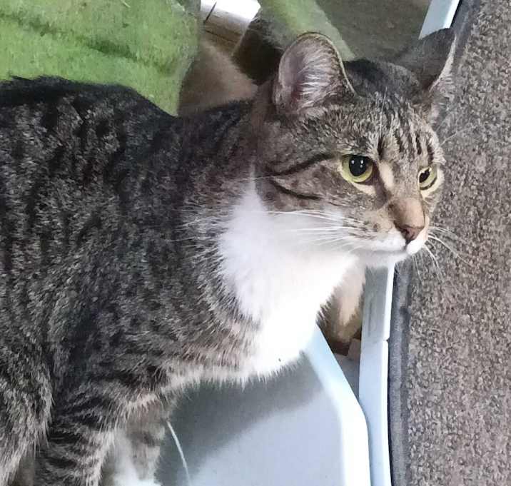 Photo of Princess