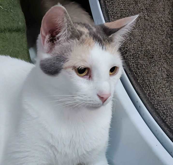 Photo of Layna