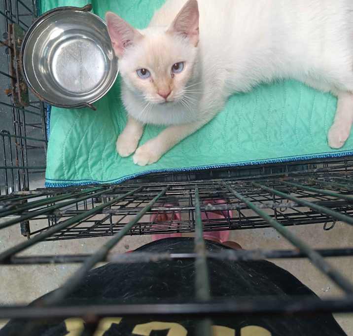 Photo of Wilma