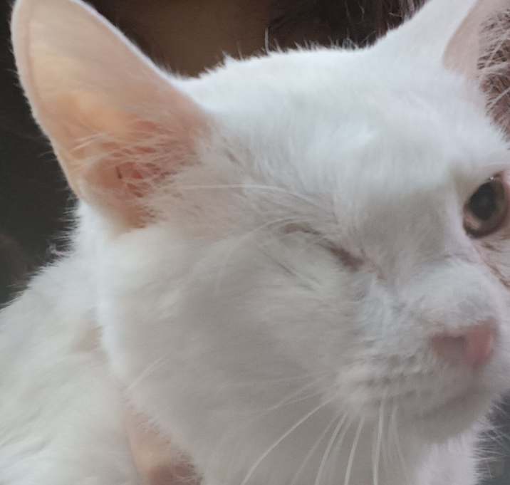 Photo of Sam