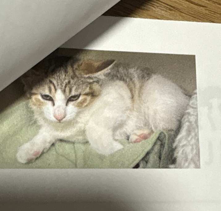 Photo of Pete