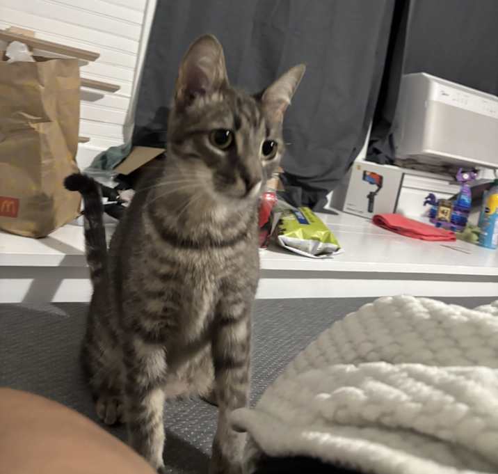 Photo of Carl