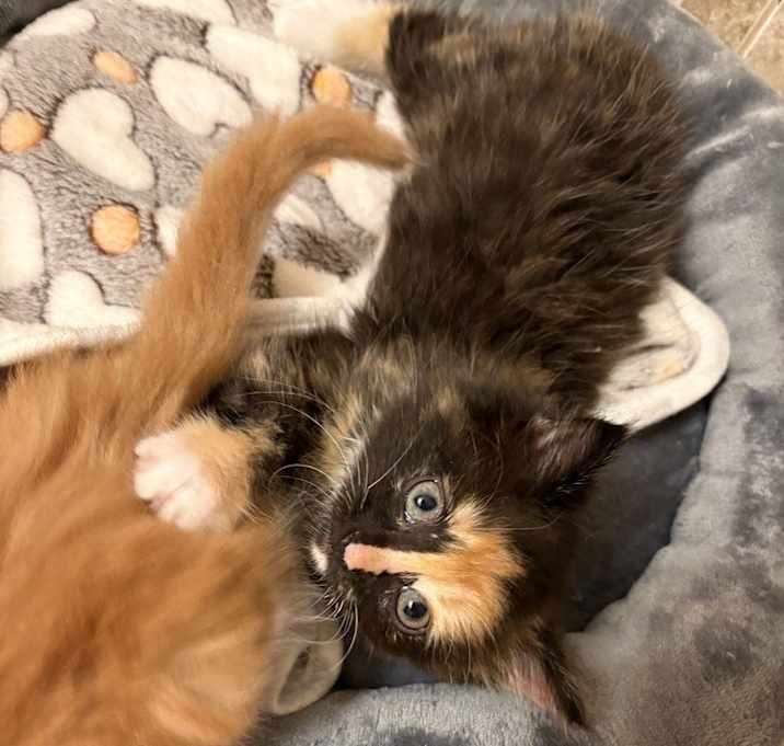 Photo of Wendy