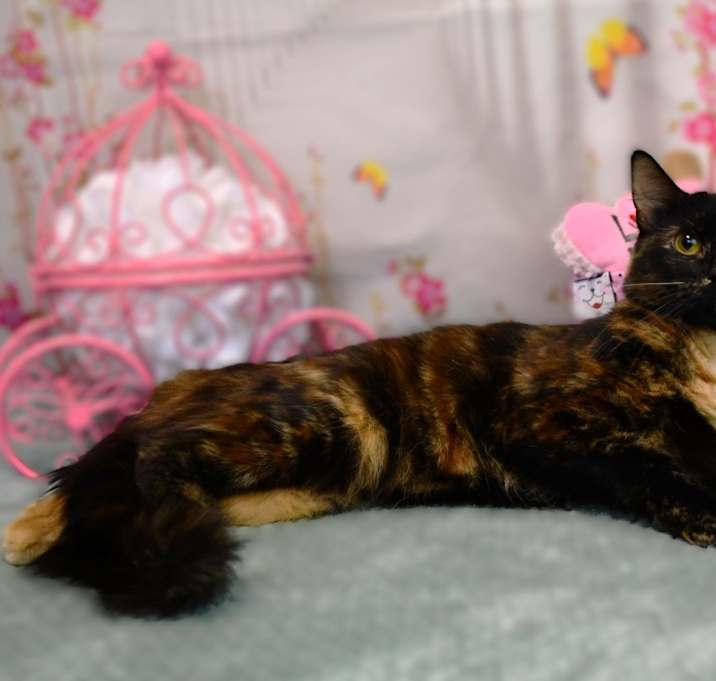 Photo of Charise