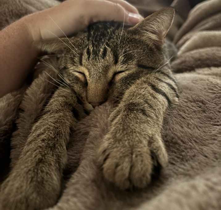 Photo of Max