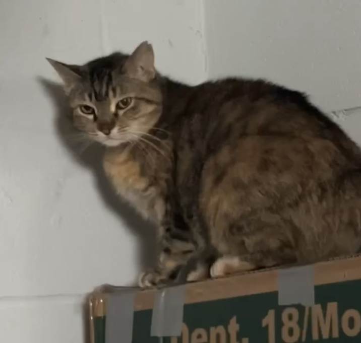 Photo of Lola