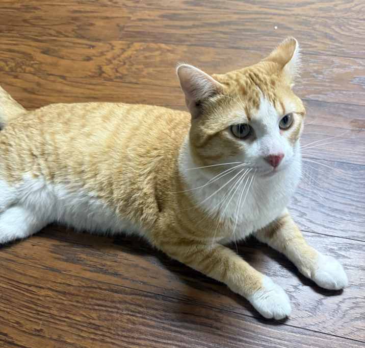 Photo of Gilbert