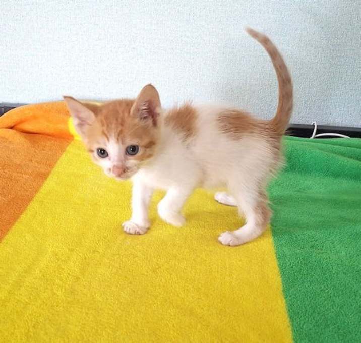 Photo of Little Susan