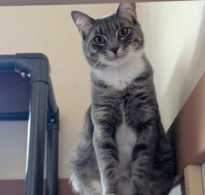 Photo of Disco
