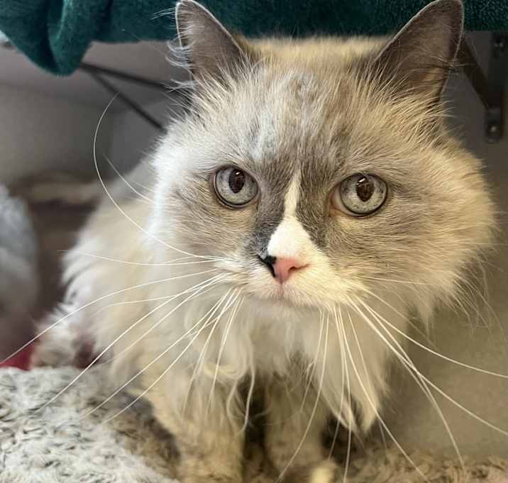 Photo of Cloudy