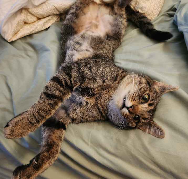 Photo of Kore