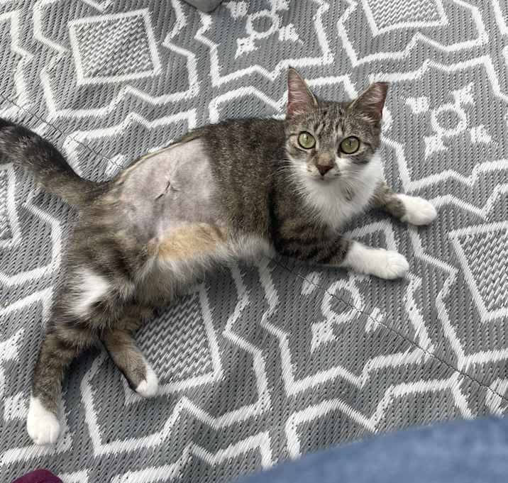 Photo of Mimi
