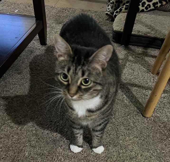 Photo of Ivy