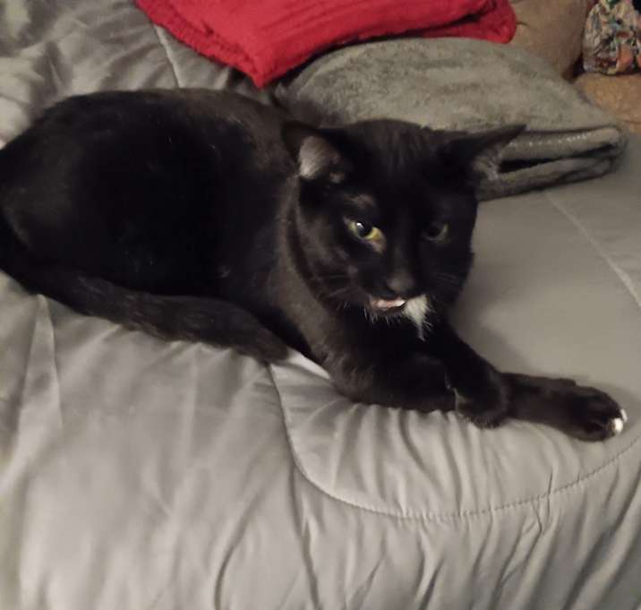 Photo of Coco