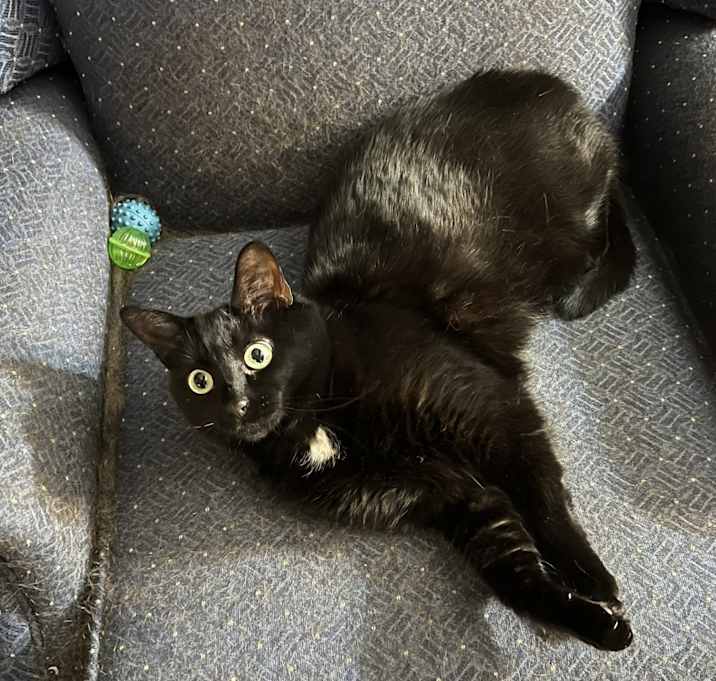 Photo of Rosie