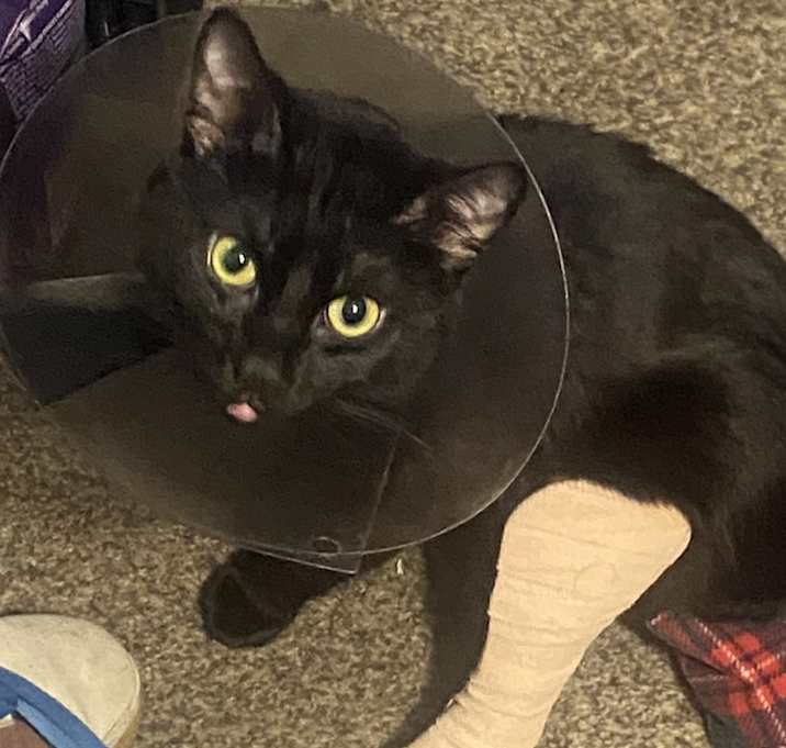 Photo of Spooky