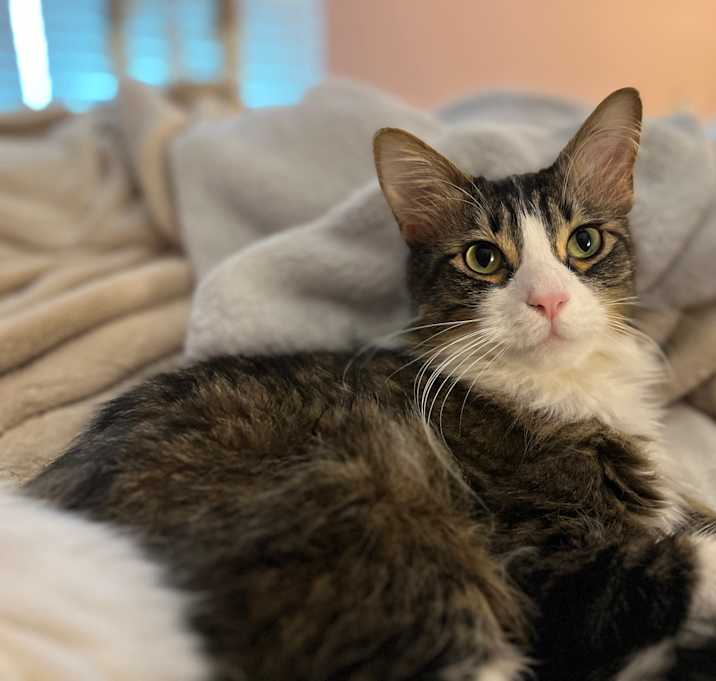 Photo of Kylo