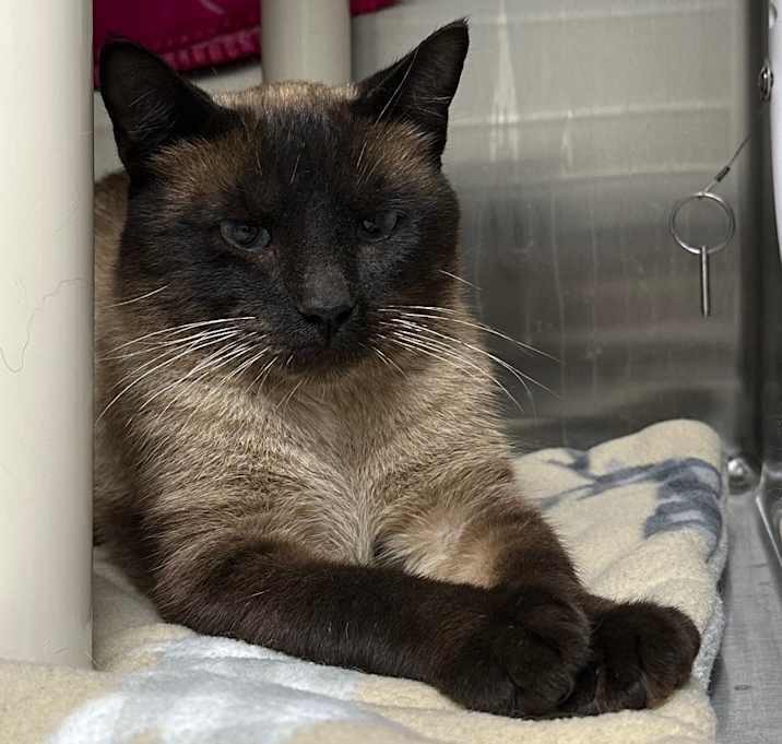 Photo of Zephyr