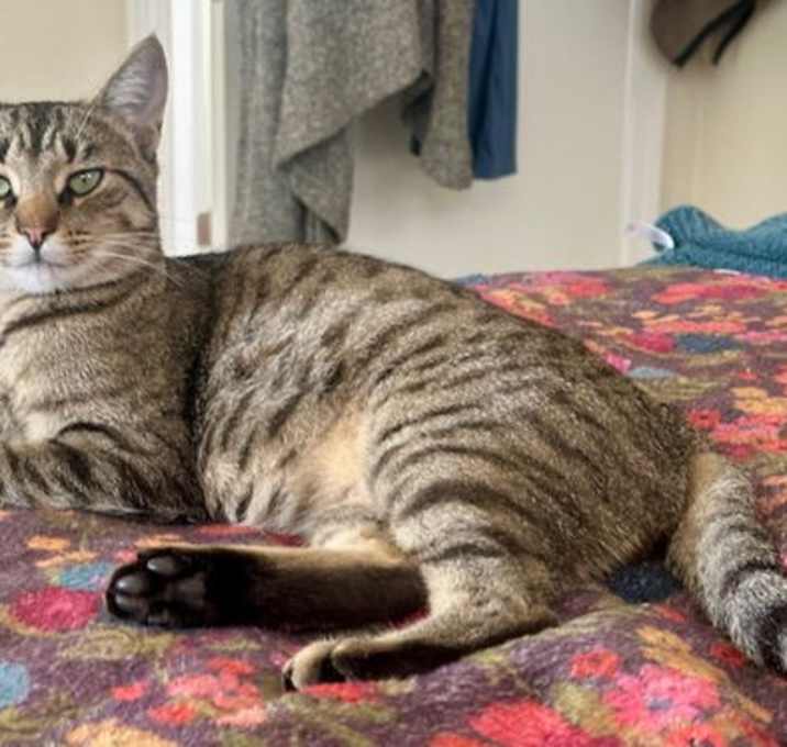 Photo of Jenny - has your number--will own your heart