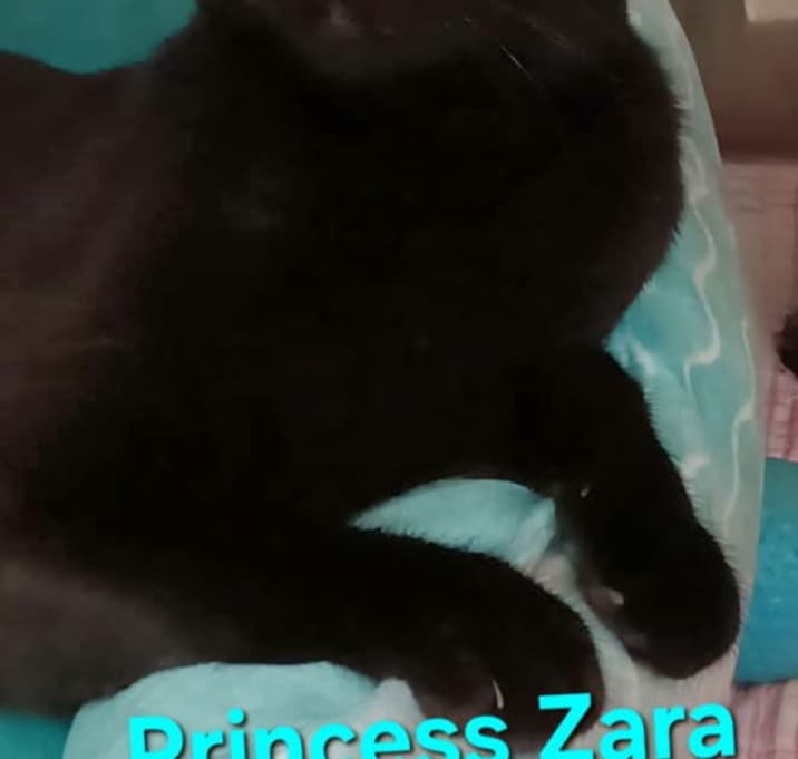 Photo of Princess Zara