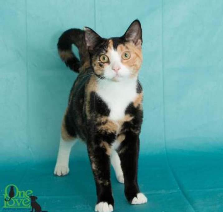 Photo of Cindy